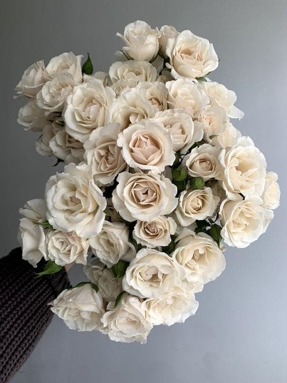 A Bunch of White Spray Roses