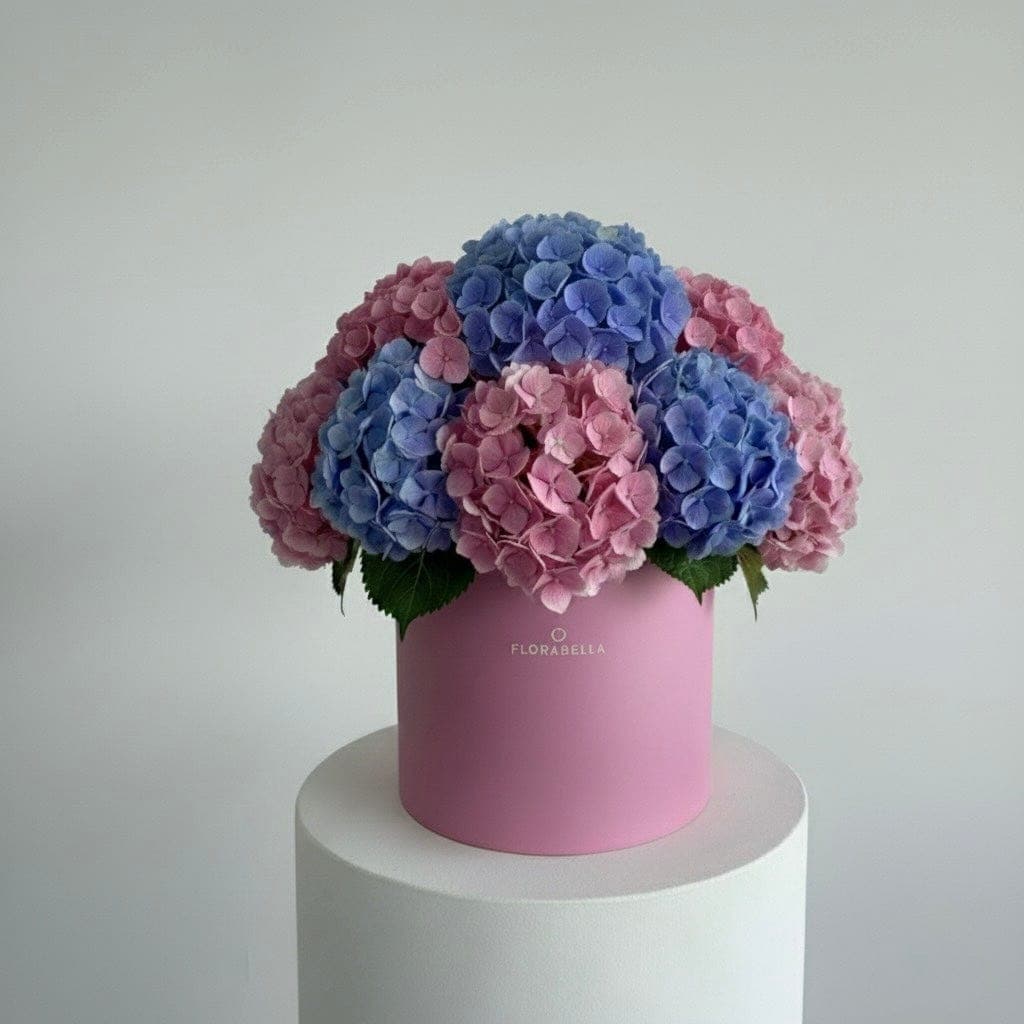 Hydrangea Box
