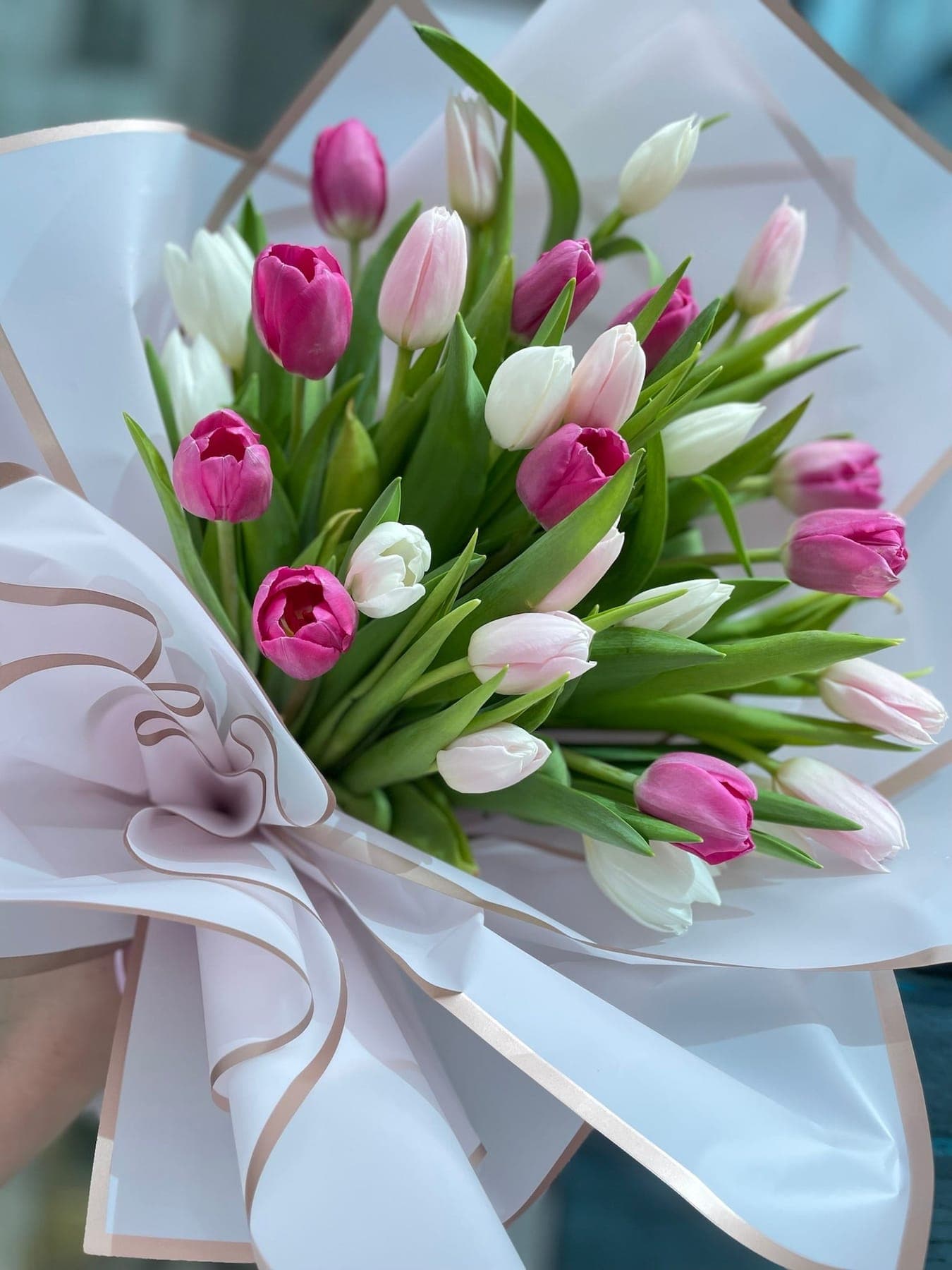 Tulips