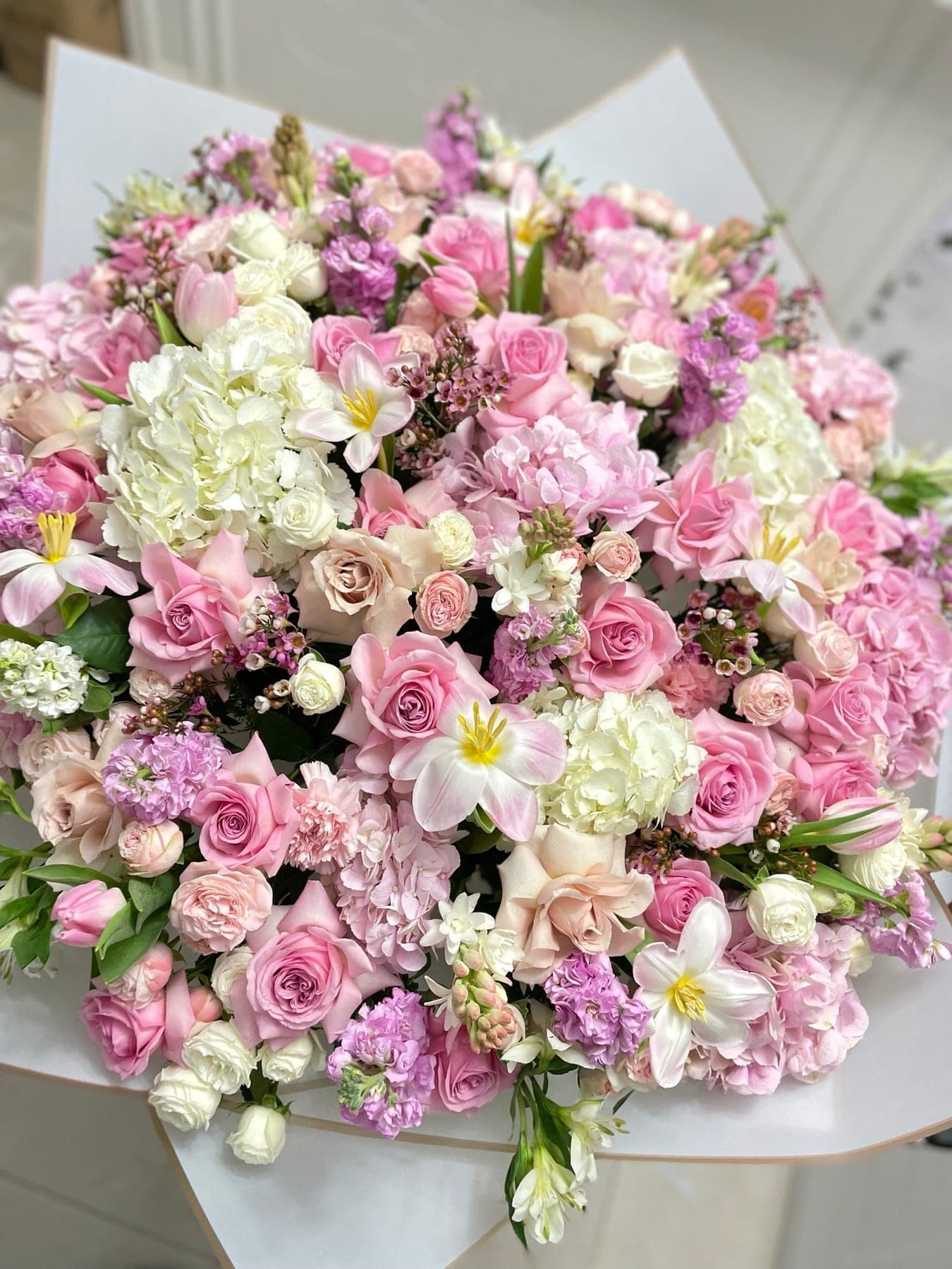Jumbo Pink