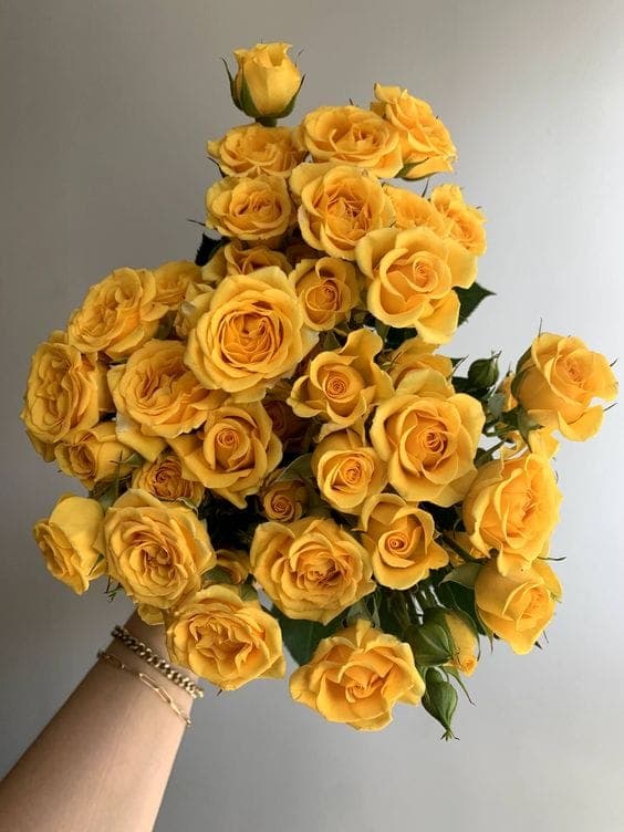 A Bunch of Yellow Spray Roses