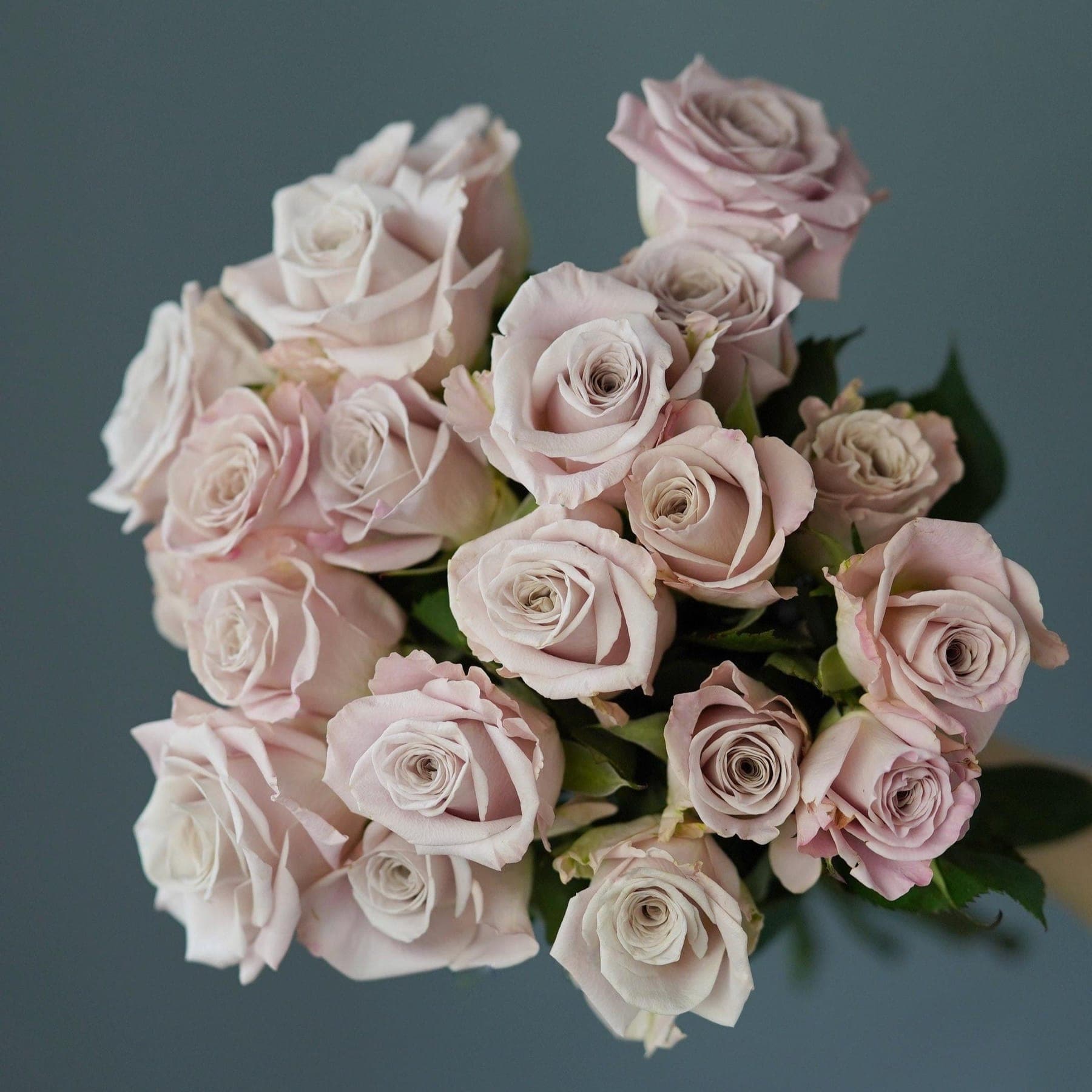 A Bunch of Cappuccino Roses