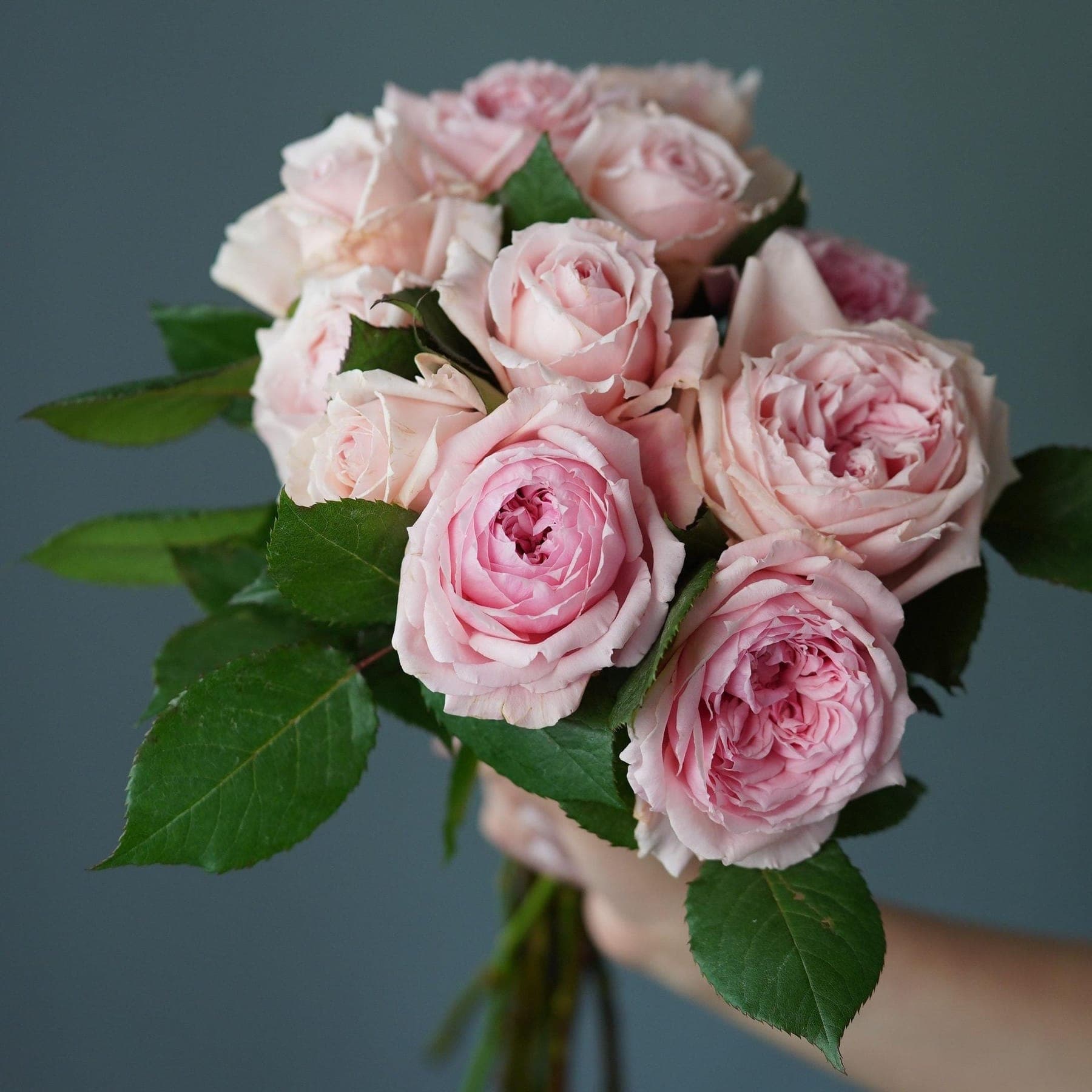 A Bunch of Light Pink Roses