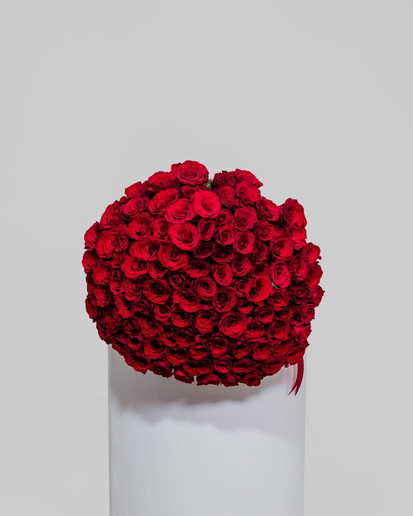 100 Red Roses: Ultimate Devotion